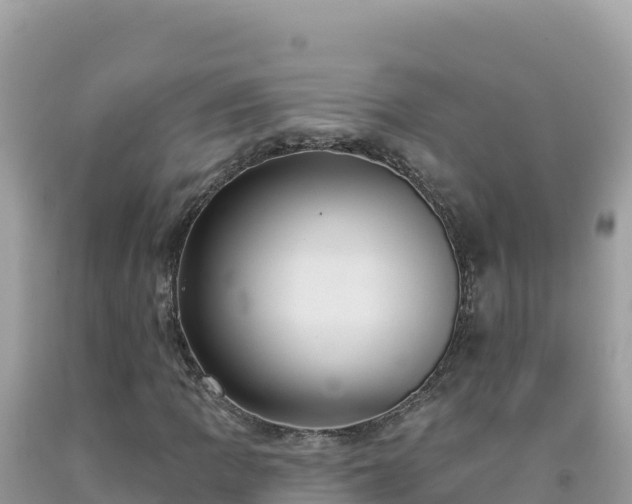 X0000092031109200709131613