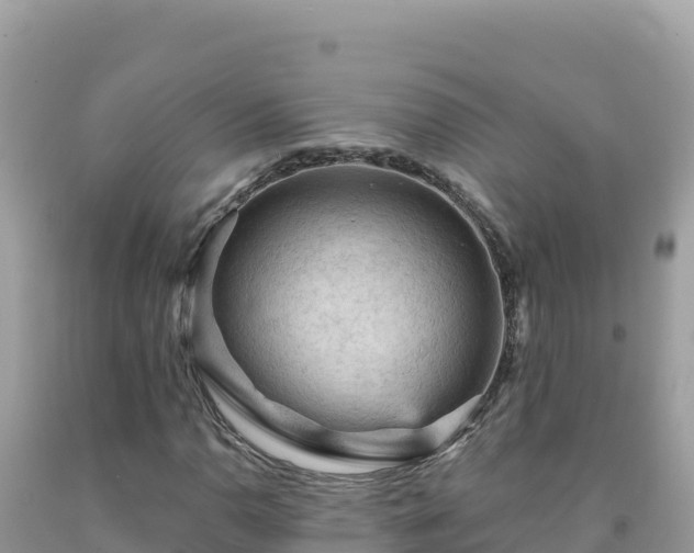 X0000092031110200709131613