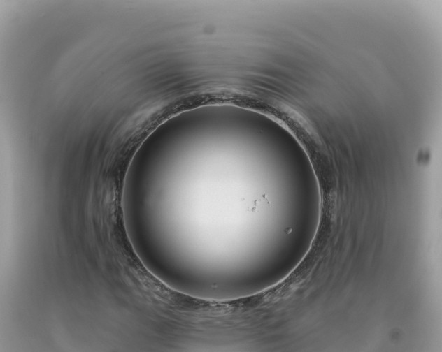 X0000092031111200709131613