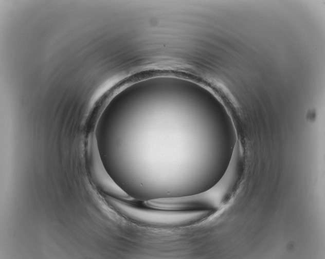 X0000092031114200709131613