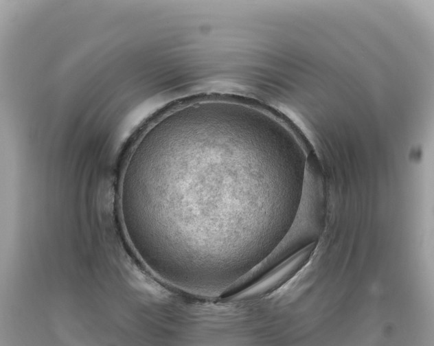 X0000092031115200709131613
