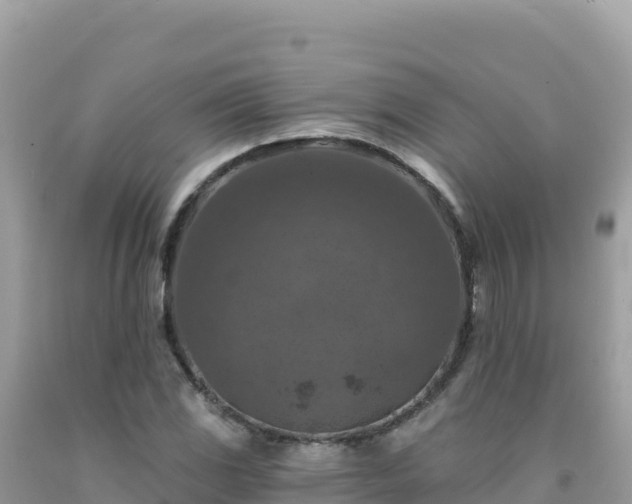 X0000092031117200709131613