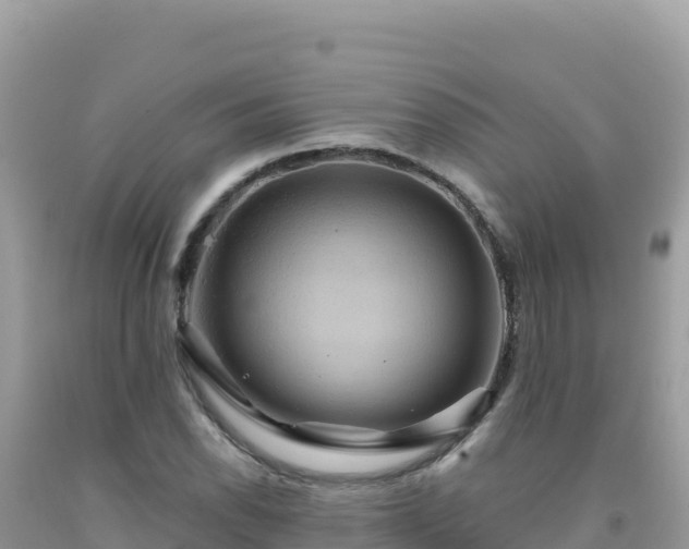 X0000092031118200709131613