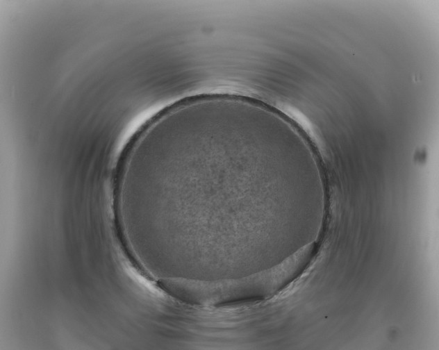 X0000092031120200709131613