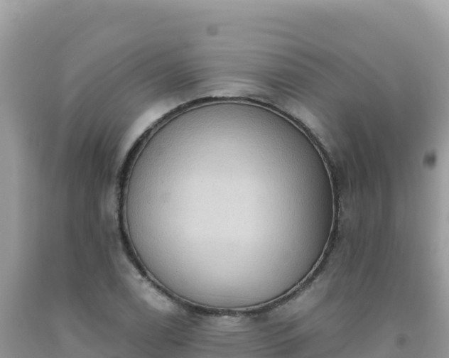 X0000092031122200709131613