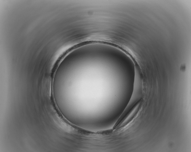 X0000092031123200709131613