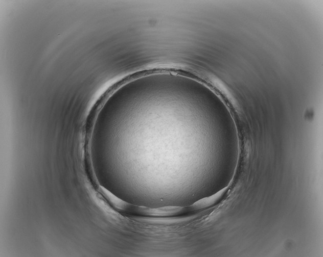 X0000092031124200709131613