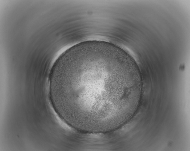 X0000092031125200709131613