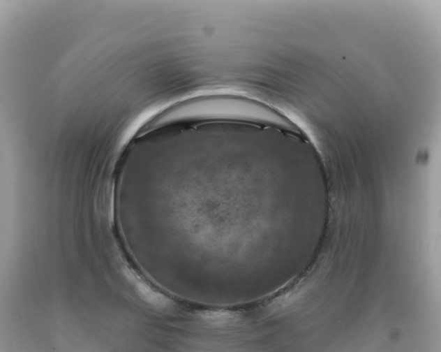 X0000092031127200709131613