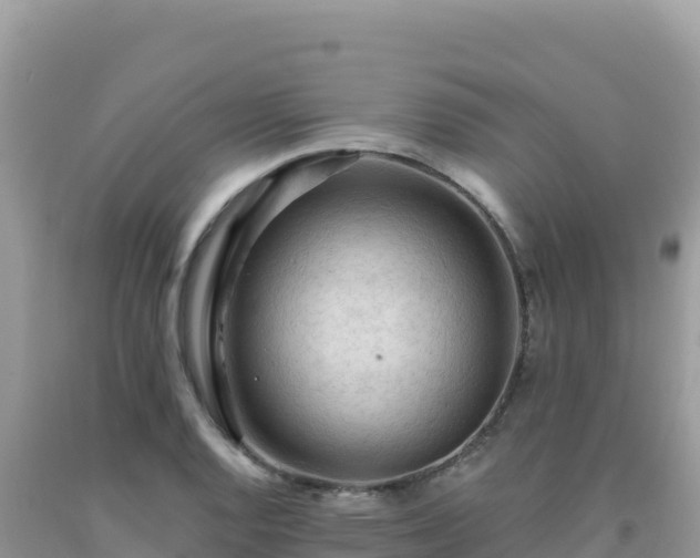 X0000092031128200709131613