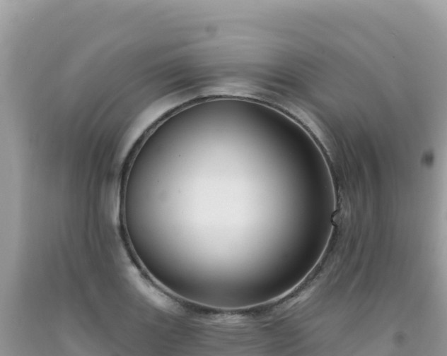 X0000092031131200709131613