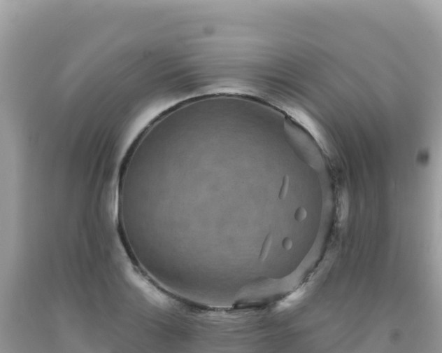 X0000092031132200709131613