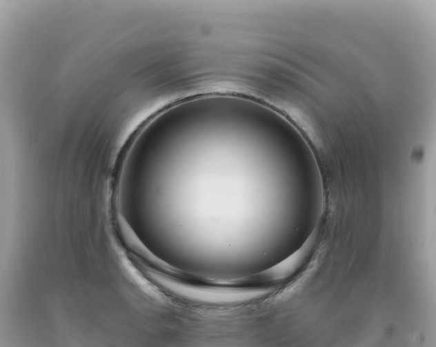 X0000092031134200709131614
