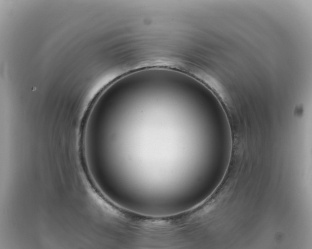 X0000092031135200709131614