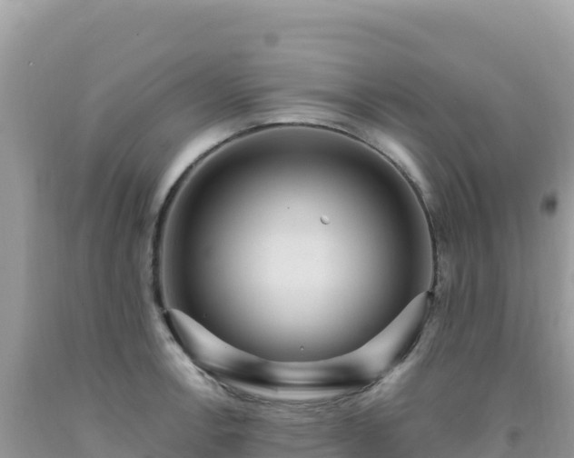 X0000092031138200709131614