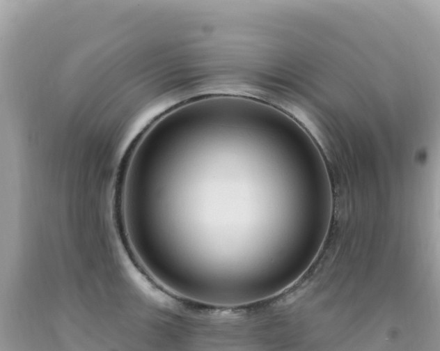 X0000092031139200709131614