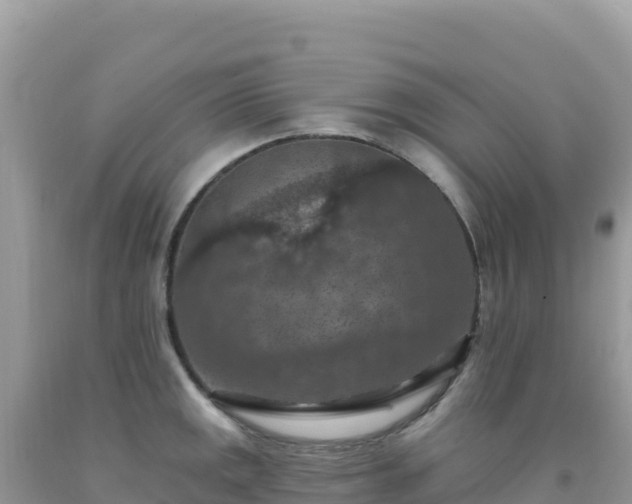 X0000092031141200709131614