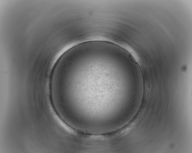 X0000092031142200709131614
