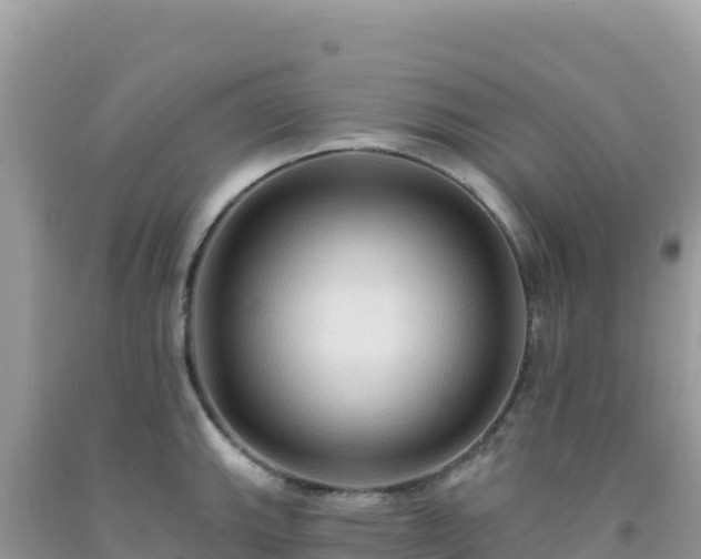 X0000092031143200709131614