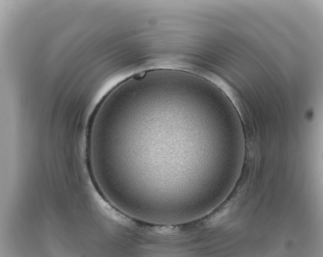 X0000092031147200709131614