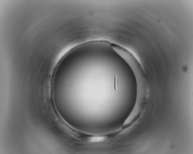 X0000092031151200709131614