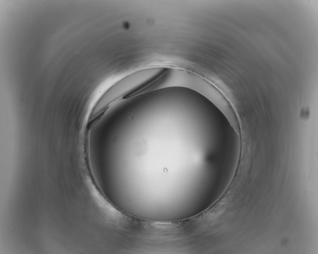 X0000092031152200709131614