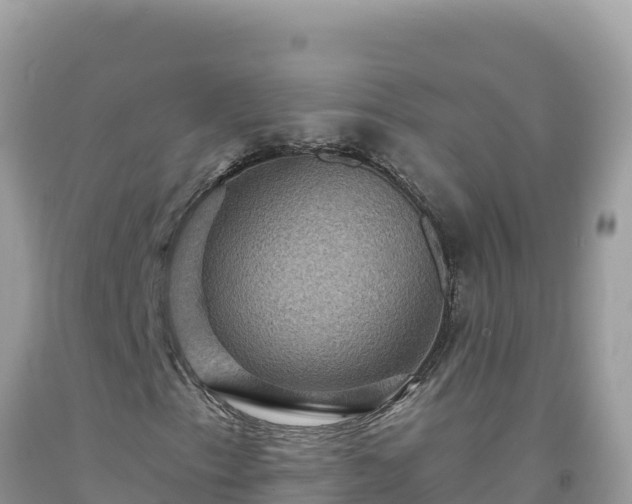 X0000092031153200709131613