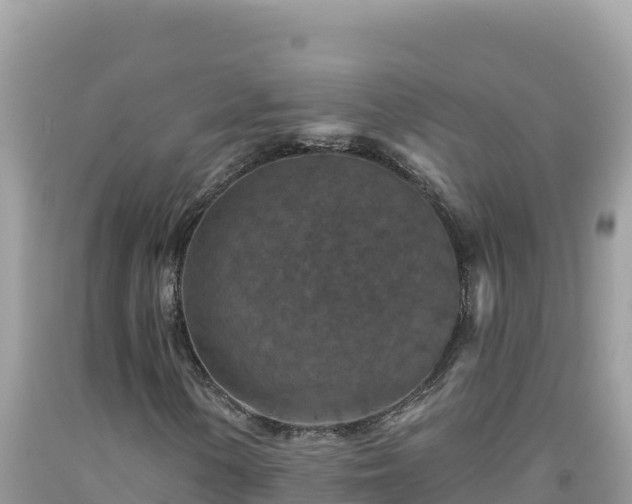 X0000092031154200709131613