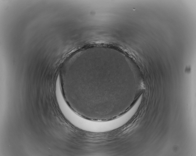 X0000092031156200709131613