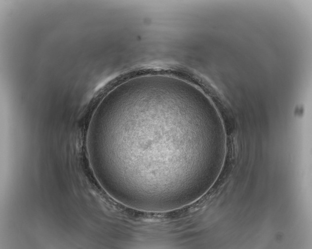 X0000092031158200709131613