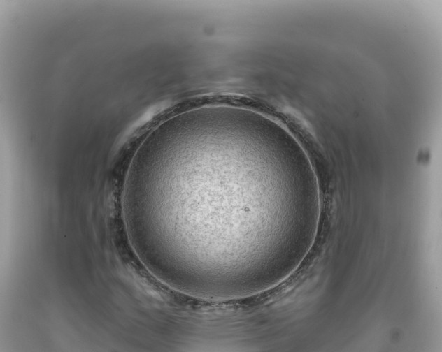 X0000092031159200709131613