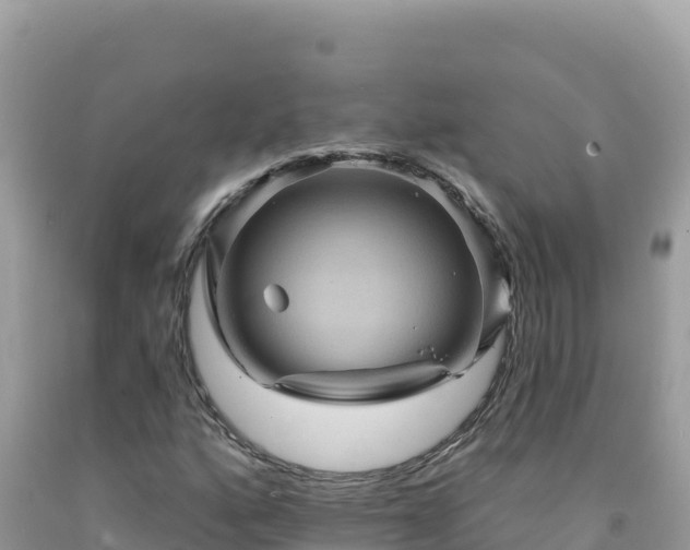 X0000092031160200709131613
