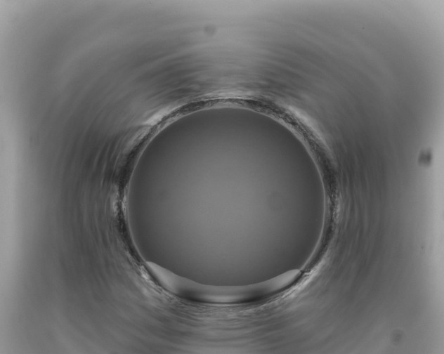 X0000092031161200709131613