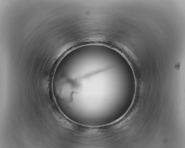 X0000092031162200709131613