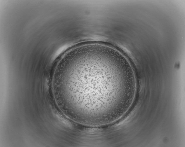 X0000092031163200709131613
