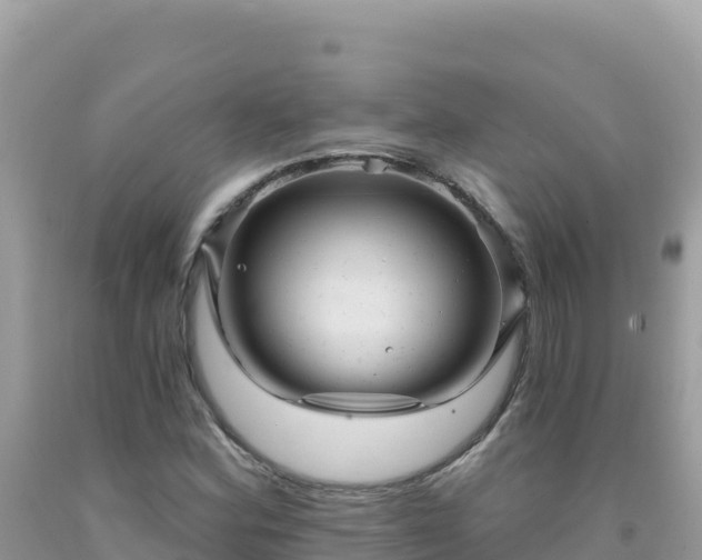 X0000092031164200709131613