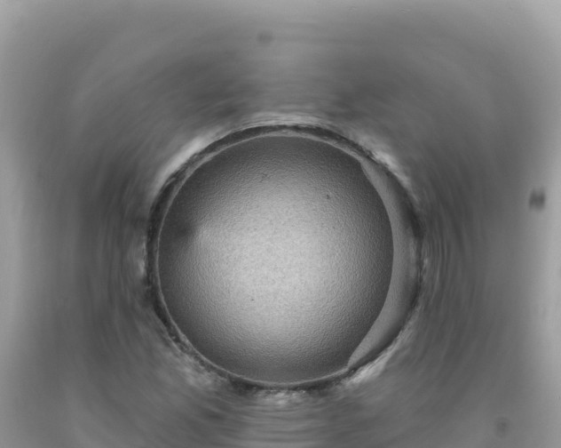 X0000092031165200709131613