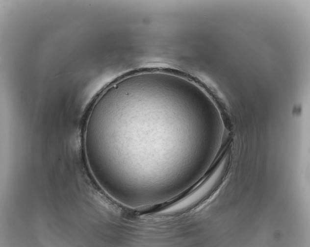X0000092031167200709131613
