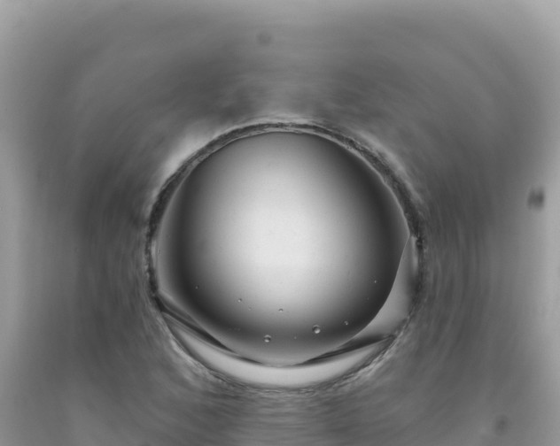 X0000092031168200709131613