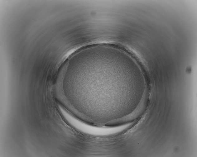 X0000092031169200709131613