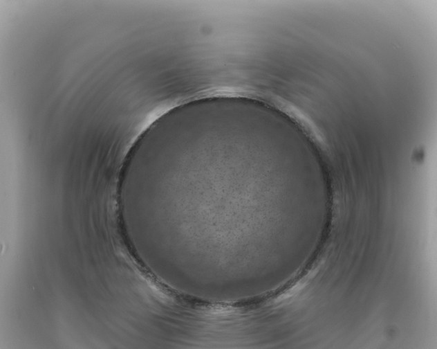 X0000092031170200709131613