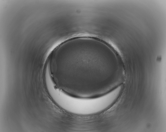 X0000092031173200709131613