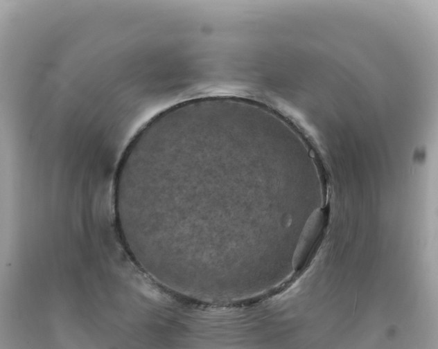 X0000092031174200709131613