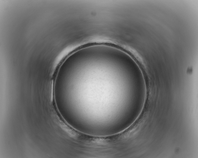 X0000092031175200709131613