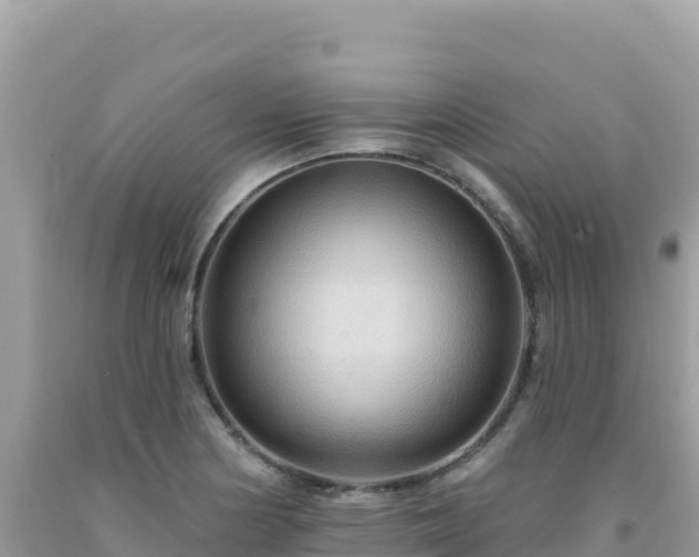X0000092031178200709131613