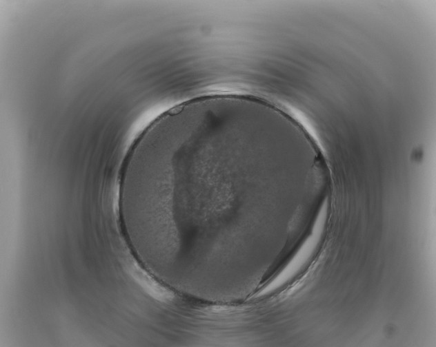 X0000092031179200709131613