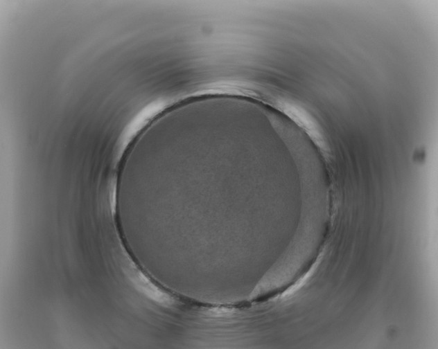 X0000092031180200709131613