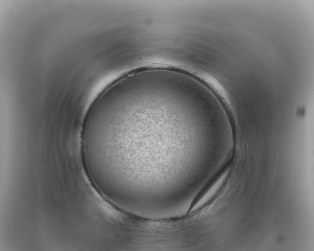 X0000092031183200709131613