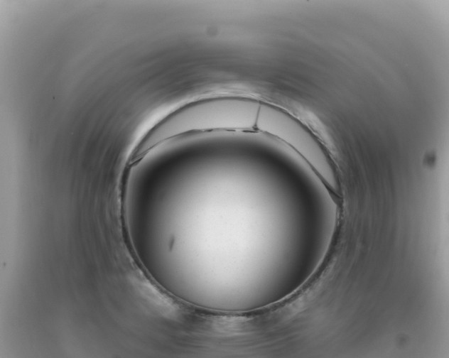 X0000092031184200709131613