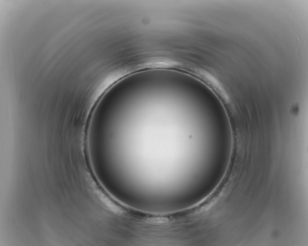 X0000092031186200709131613
